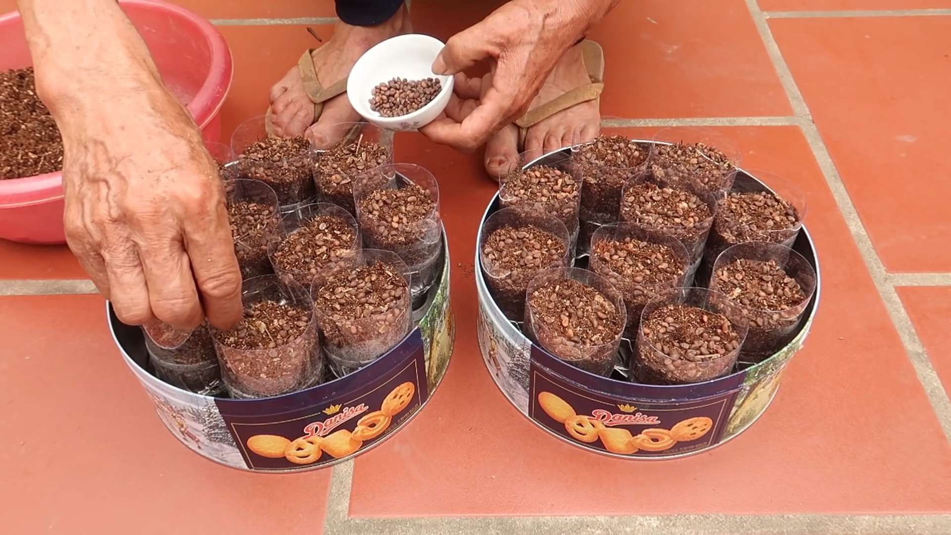 Spinat anbauen Plastikflaschen