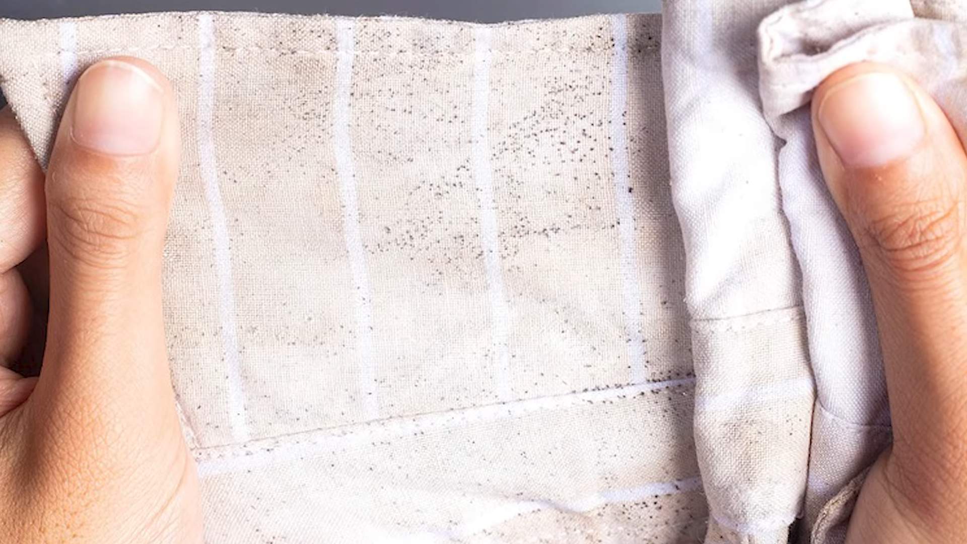 Schimmel aus Kleidung entfernen
