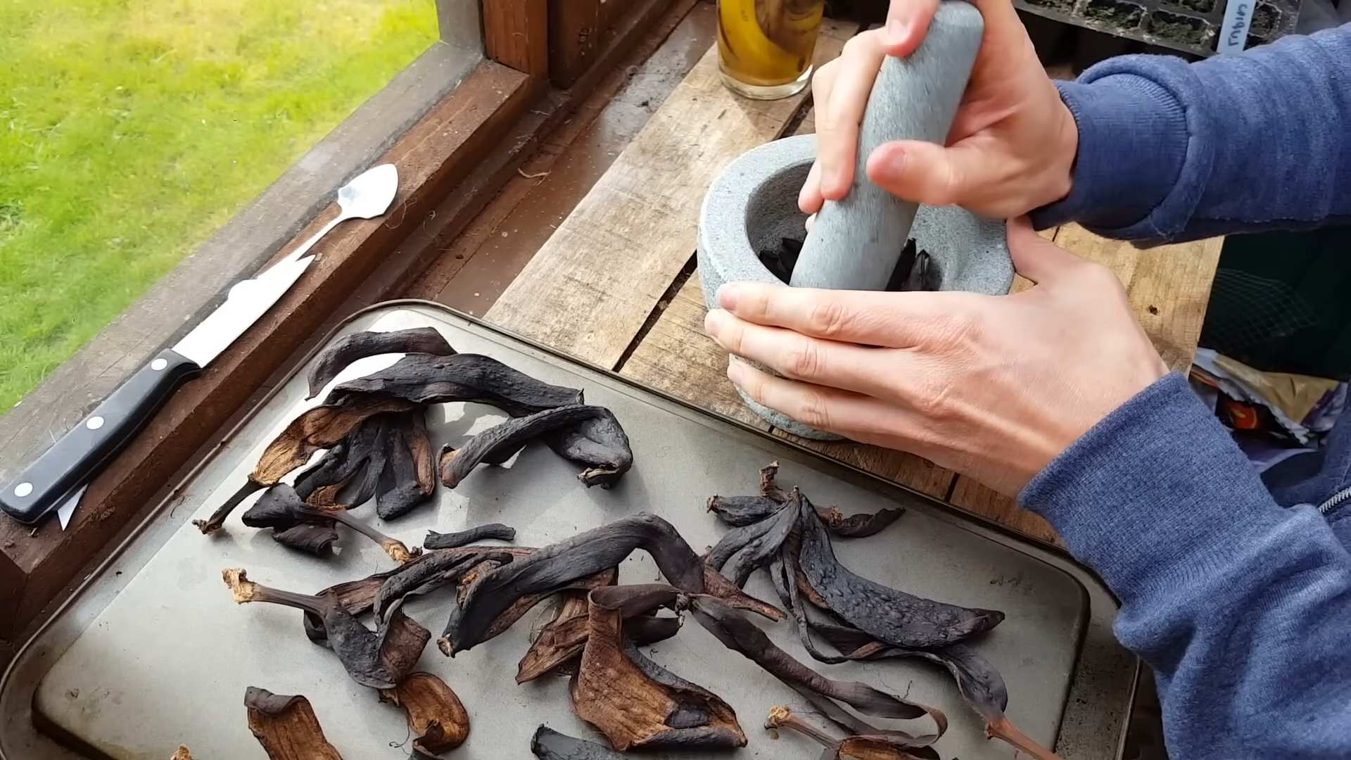 Bananenschalen kompostieren Garten